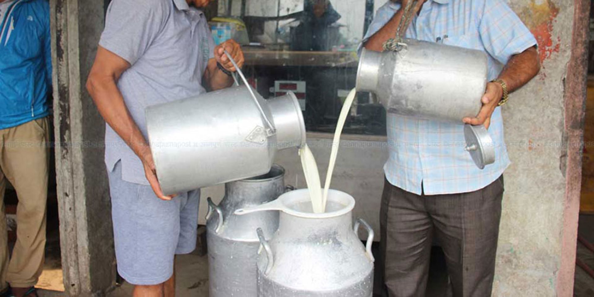 १५ कृषकलाई सहकारीको पुरस्कार