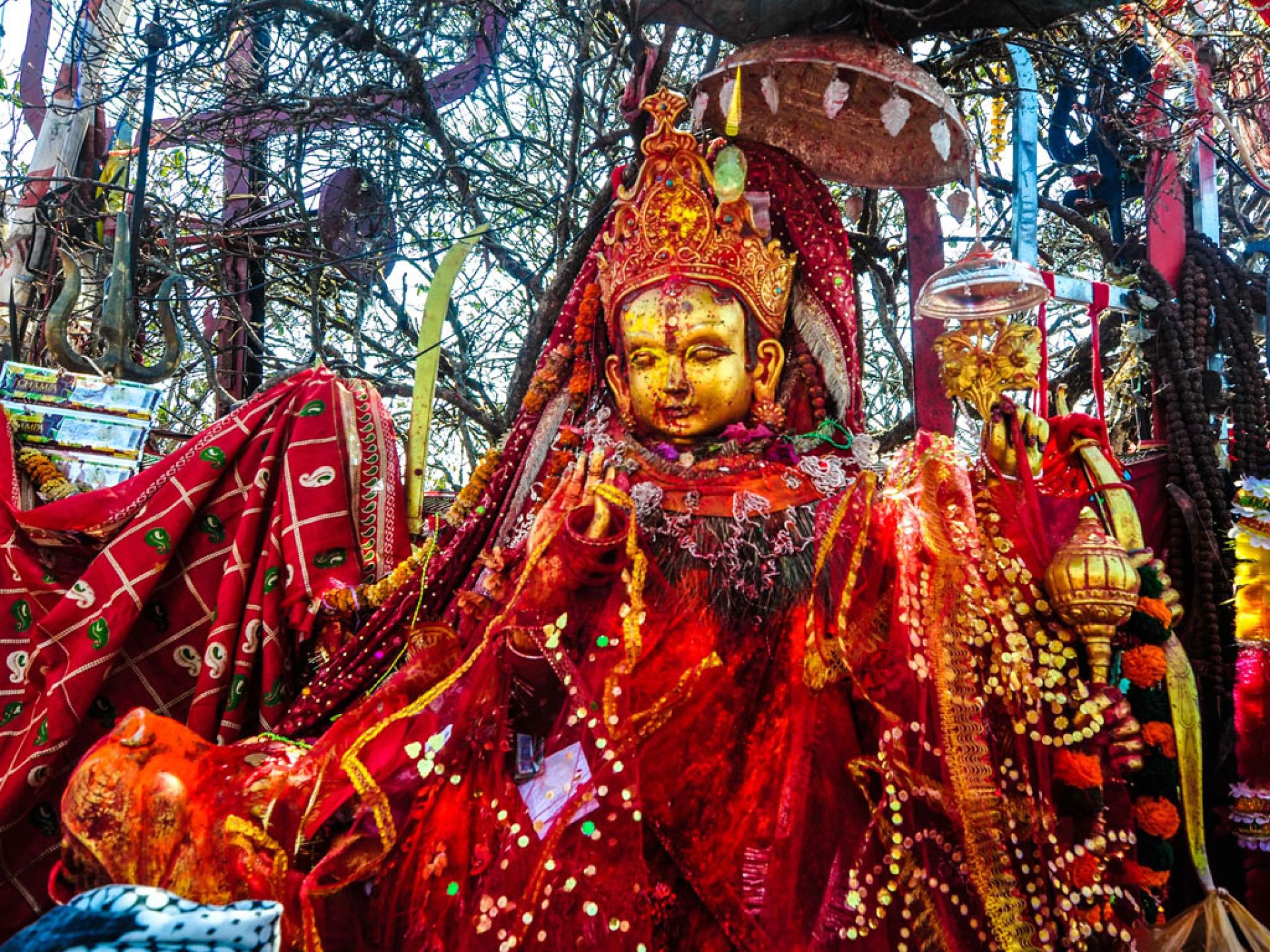दशैंपछि पाथीभरामा भक्तजनको आगमन बढ्यो, एकै दिन हजारौँद्वारा दर्शन