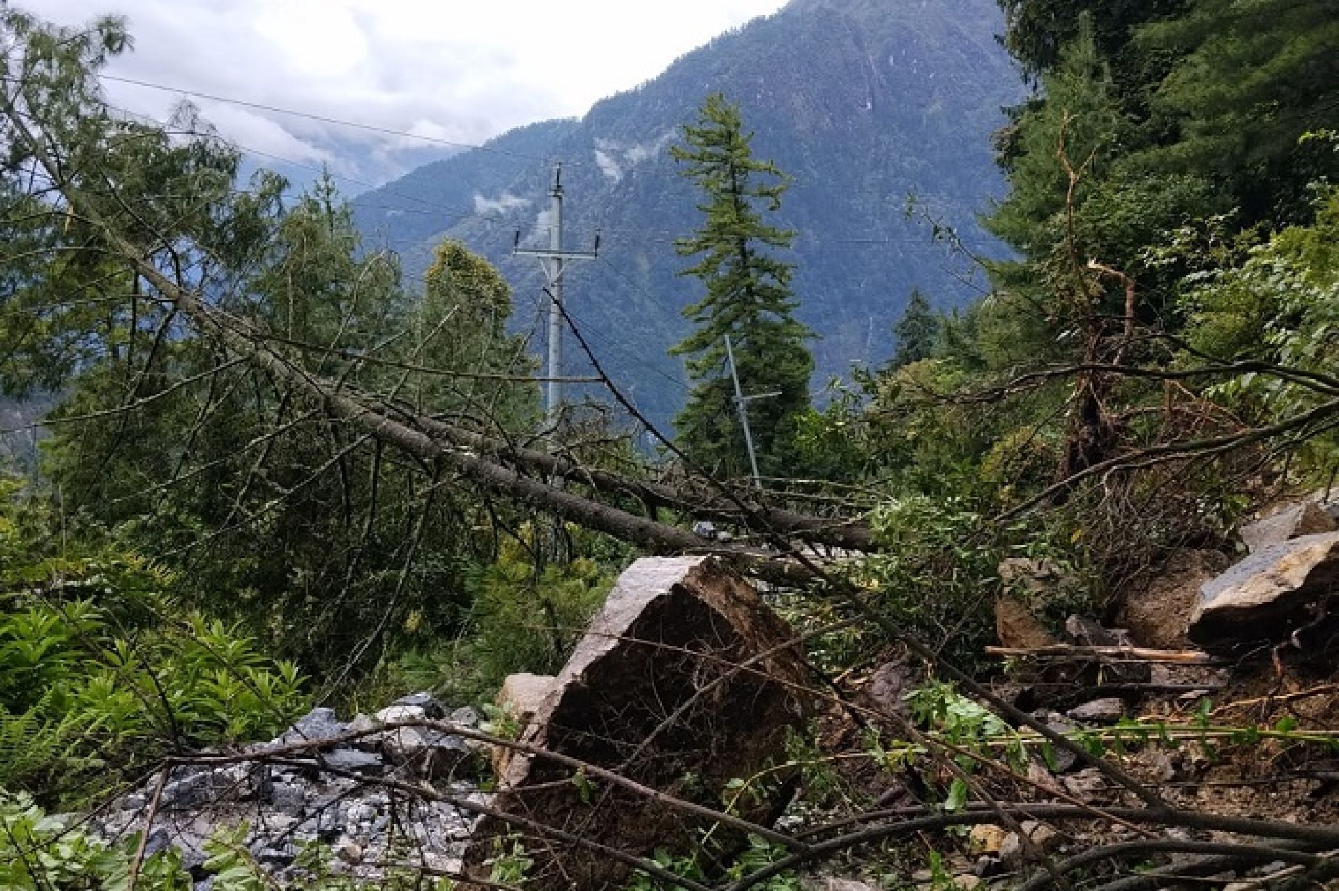 विद्युत् आपूर्ति सुचारु राख्न प्राधिकरणको उच्च सतर्कता, प्रभावित क्षेत्रमा तत्काल पुनःस्थापना गरिने