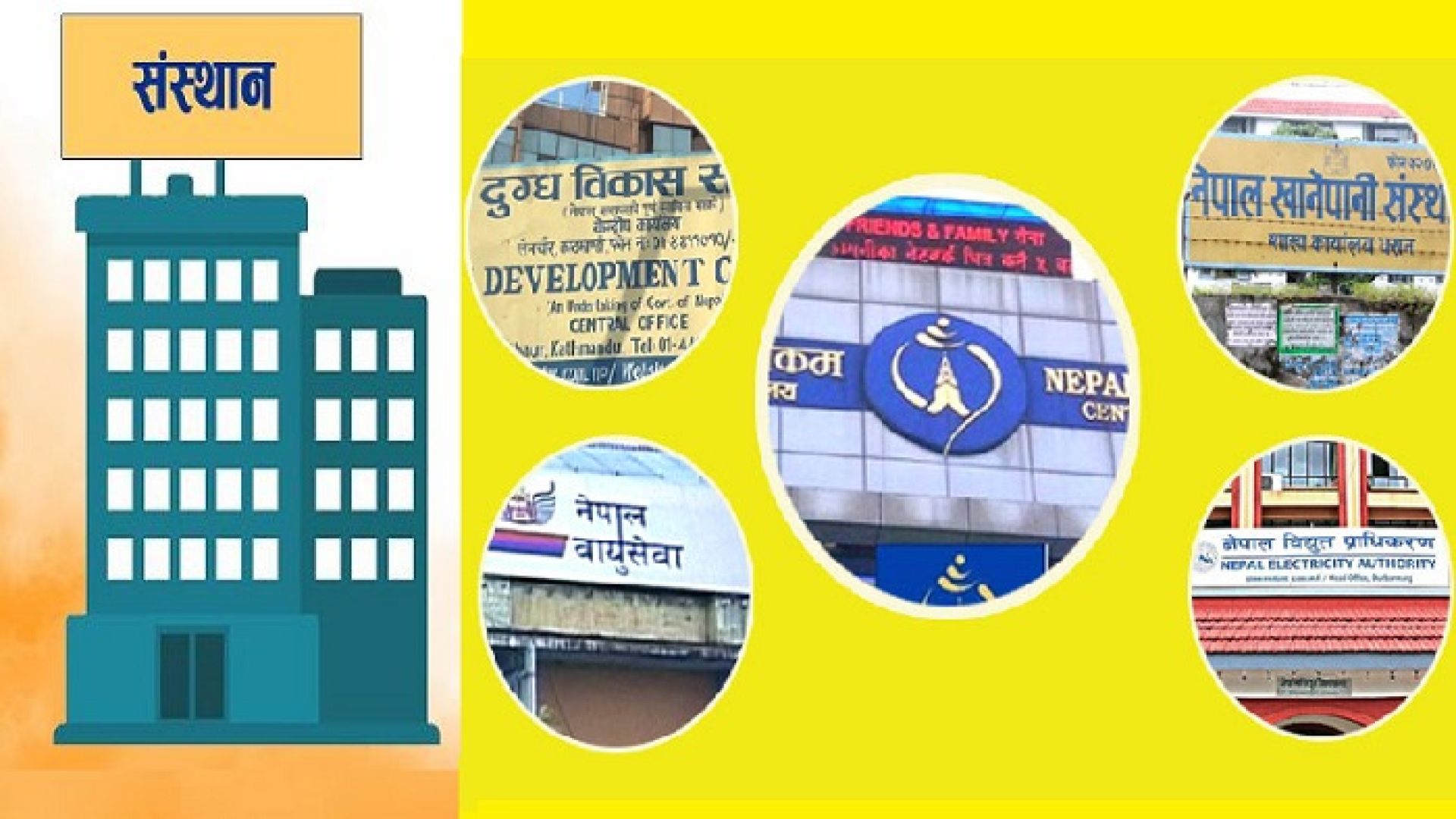 सार्वजनिक सस्थानः बोझिलो संगठन संरचना, लगानीमा निष्क्रियता