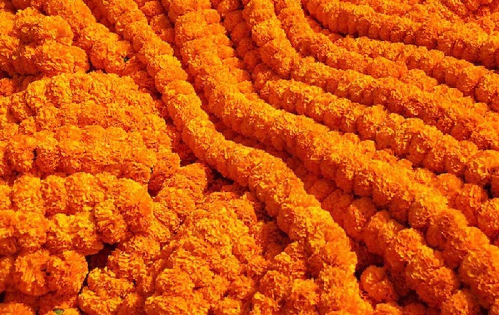 तिहारका लागि फूल र मालाको मूल्य निर्धारण